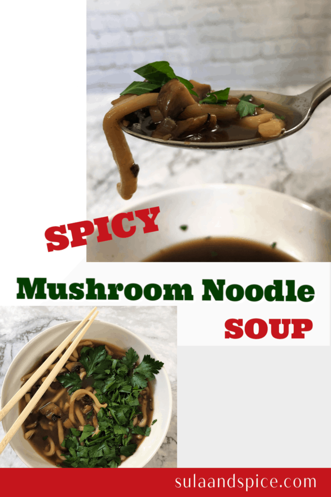 Spicy mushroom noodle soup pin