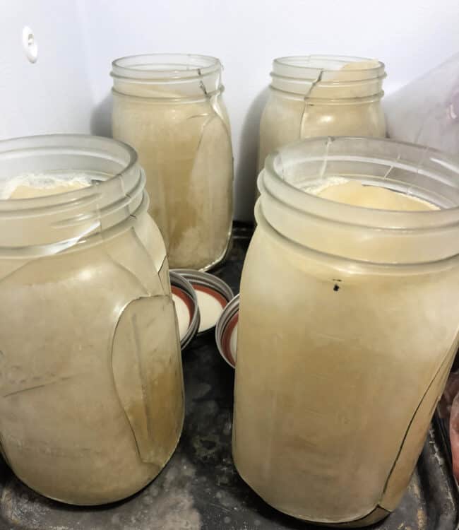 frozen broth in busted jars