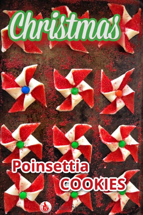 Poinsettia cookies pin