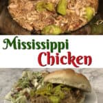 Mississippi chicken pin.