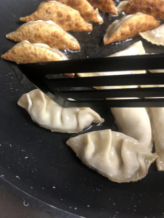 Half cooked Potstickers Chinese Dumplings in the skillet