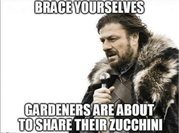 Funny picture regarding zucchini