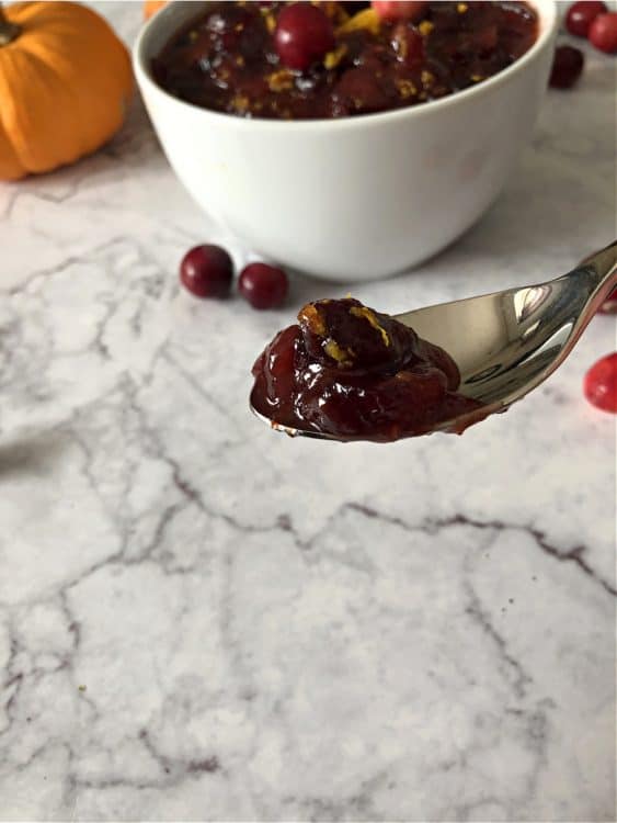 spoon of cranberry sauce with bowl in background