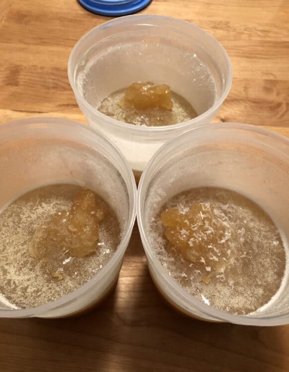 half full containers of bone broth, frozen