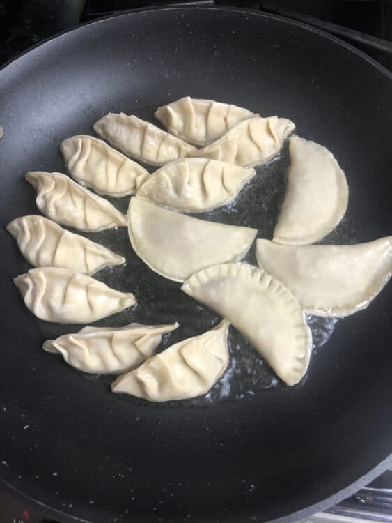 beginning to cook the chinese dumplings in a skillet with oil