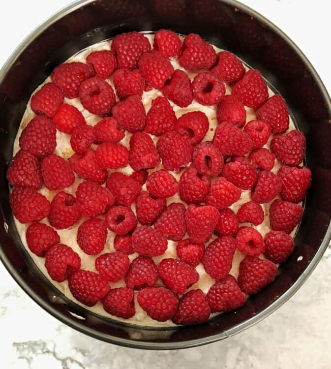 top down view of raspberry layers in torte pan