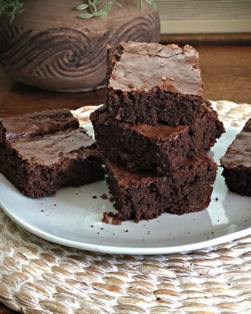 stack of brownies on a white plate with a plant behind