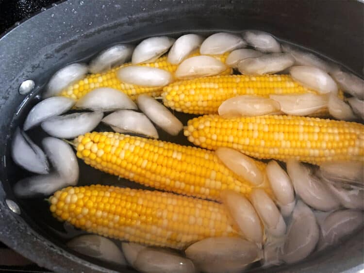 corn on the cob immersed in ice water