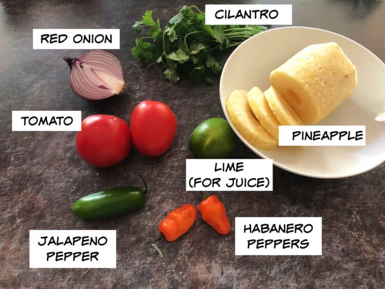 labeled picture of red onion, cilantro, pineapple, lime, peppers, and tomatoes