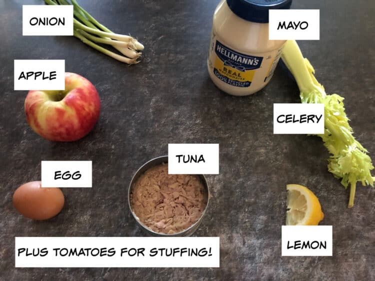 ingredients: onion, mayo, celery, wedge of lemon, tuna, egg and apple. Also tomatoes needed.