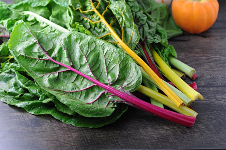 raw swiss chard in rainbow colors