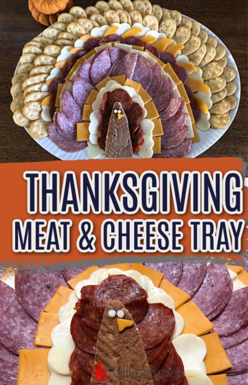 pin for turkey shaped meat and cheese tray