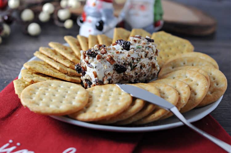 goat cheese log surrounded by crackers on a small plate