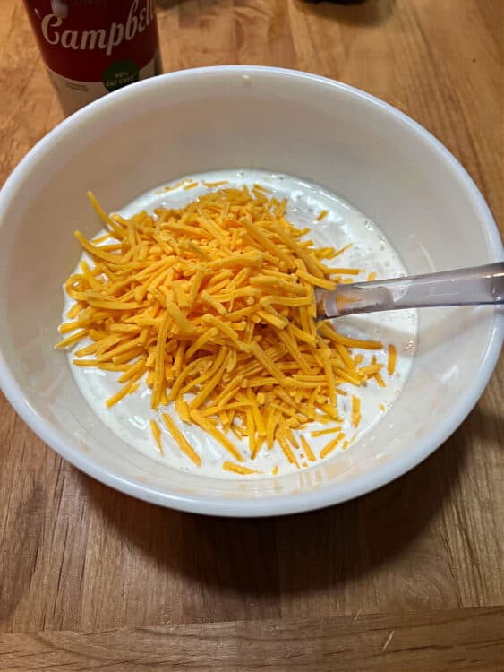 soup mixture with cheese