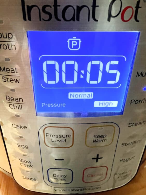 Instant Pot cycle set for 5 minutes