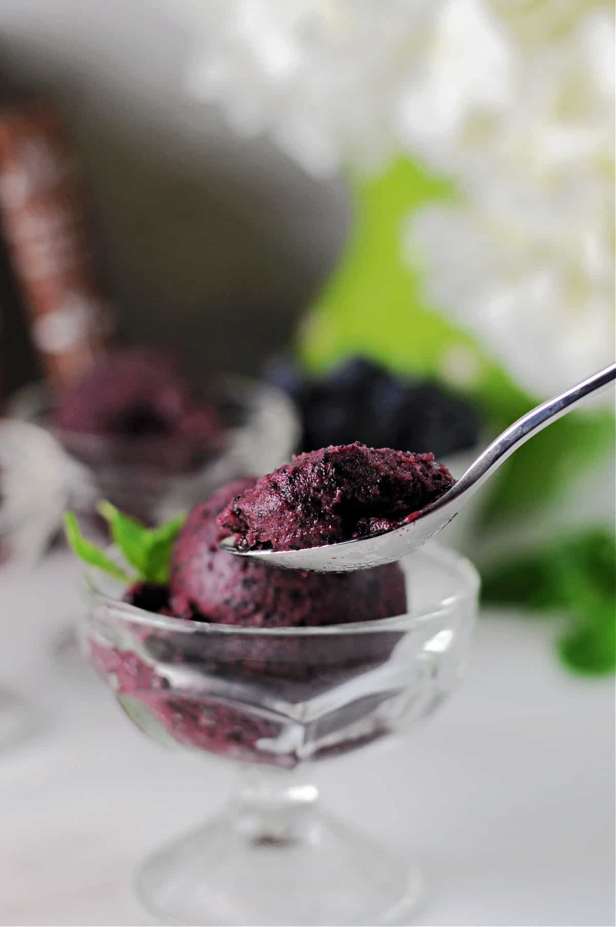 A spoonful of blueberry nice cream ready to eat!