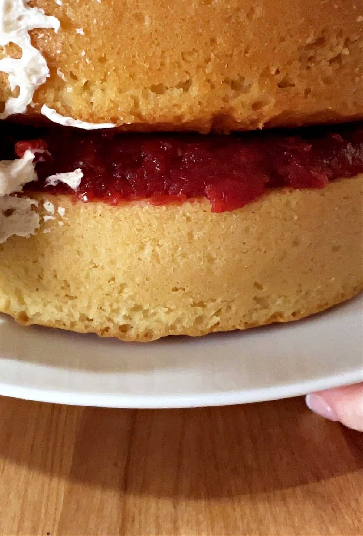 2 vanilla cake layers with strawberry filling in between.