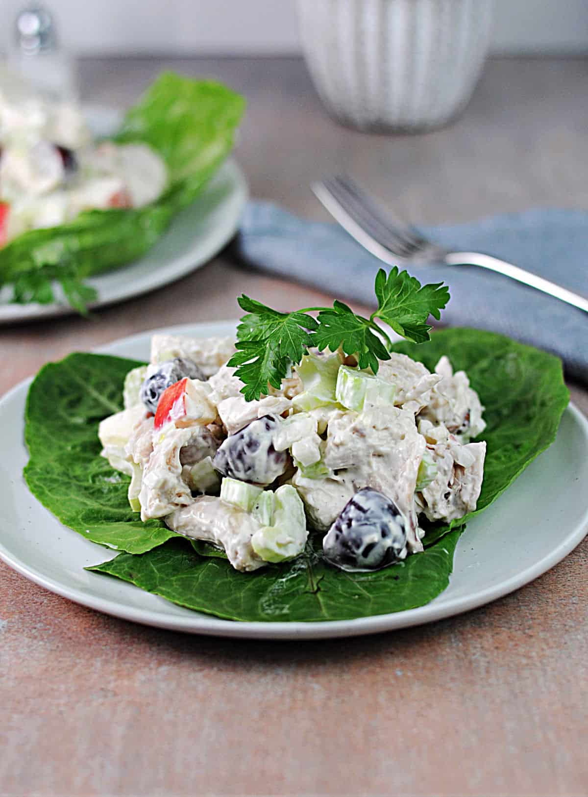 small plate of chicken waldorf salad with grapes.