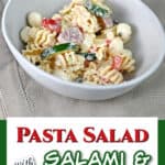 Pin showing an individual serving of salami pasta salad in a bowl.