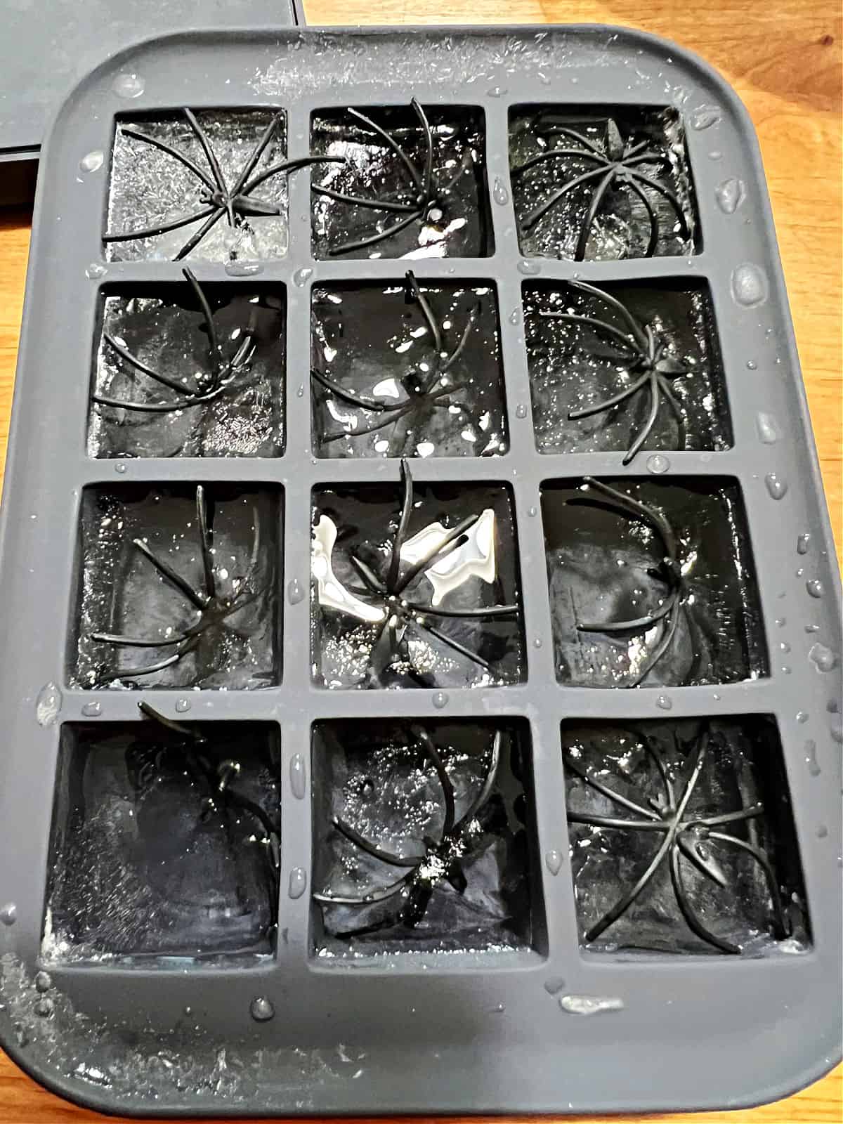 Plastic spiders freezing in the ice in ice cube tray.