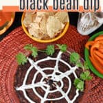 Spider web black bean dip pin.