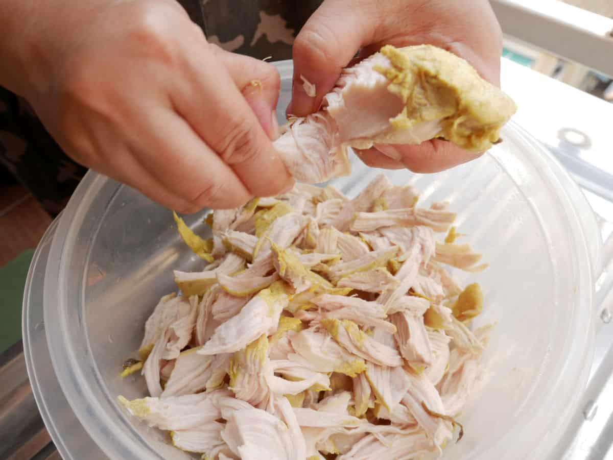 2 hands shredding up some cooked chicken to use in these leftover shredded chicken recipes.