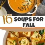 Pin for 16 soup recipes.