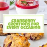 cranberry recipes pin.