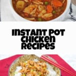 instant pot chicken recipes pin.