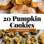 pin for 20 pumpkin cookies.