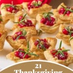 pin for 21 Thanksgiving appetizers.