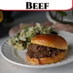 pin of a shredded beef sandwich.