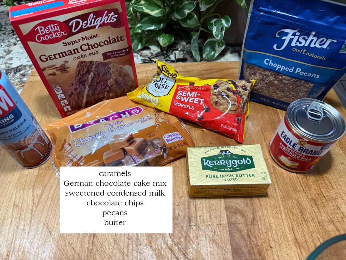ingredients.