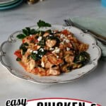 pin for orzo pasta with chicken.