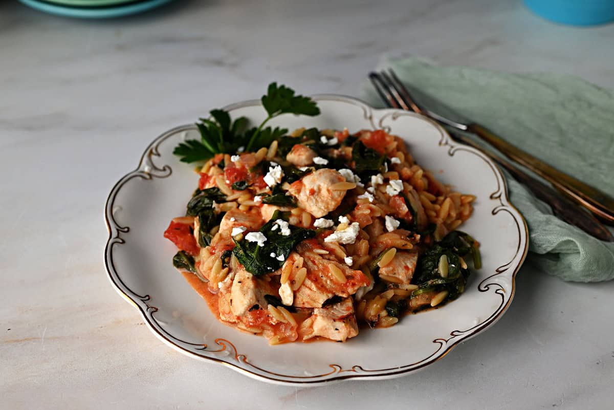a serving of chicken and orzo pasta on a plate and ready to eat.